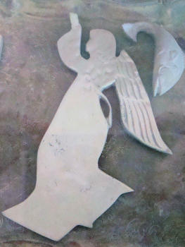 Honduras shell angel
